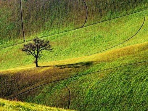 National Geographic'in en iyileri - Resim 38