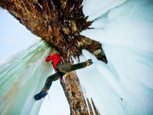 National Geographic'in en iyileri - Resim 19