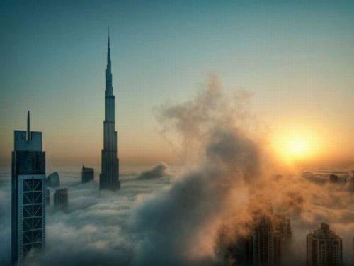 National Geographic'in en iyileri - Resim 11