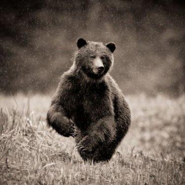 National Geographic'in en iyileri - Resim 50