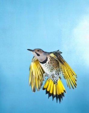 National Geographic'in en iyileri - Resim 56