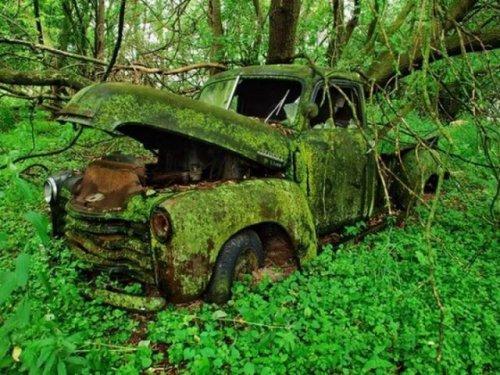 National Geographic'in en iyileri - Resim 9