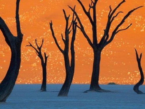 National Geographic'in en iyileri - Resim 36