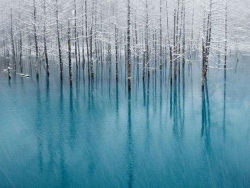 National Geographic'in en iyileri - Resim 13
