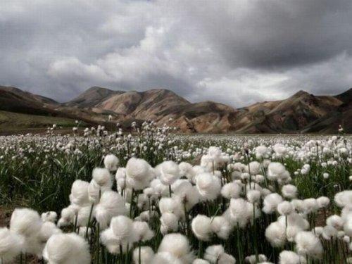 National Geographic'in en iyileri - Resim 4