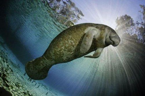 National Geographic'in en iyileri - Resim 52
