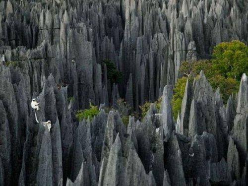National Geographic'in en iyileri - Resim 6