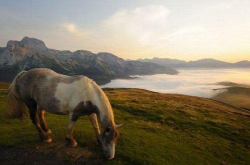 National Geographic'in en iyileri - Resim 47
