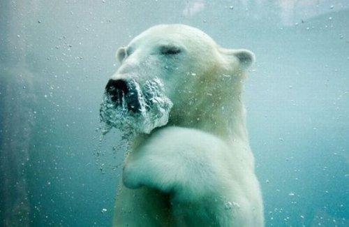 National Geographic'in en iyileri - Resim 10