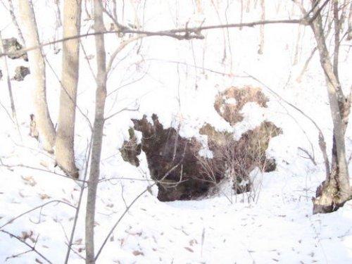 Elazığ Diyarbakır sınırındaki PKK kampı