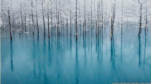 National Geographic 2011 Fotoğraf Yarışması - Resim 2