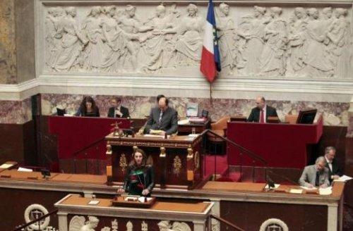 Soykırımı inkar yasasına deri ceketle geldi 