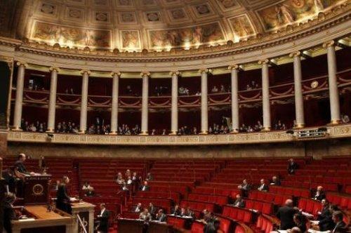 Soykırımı inkar yasasına deri ceketle geldi 