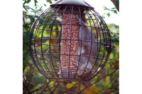 2011'in en komik hayvanları 