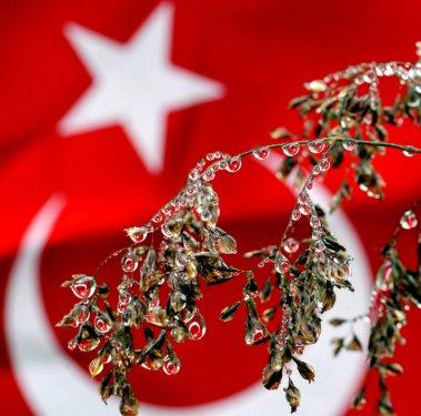 O anın Türkiye'sini anlatan 58 fotoğraf - Resim 25
