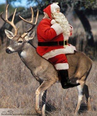 Bobiler.org gözüyle: Noel Baba Türkiye'de  