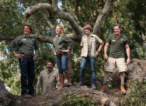 2012'nin en büyük 50 filmi