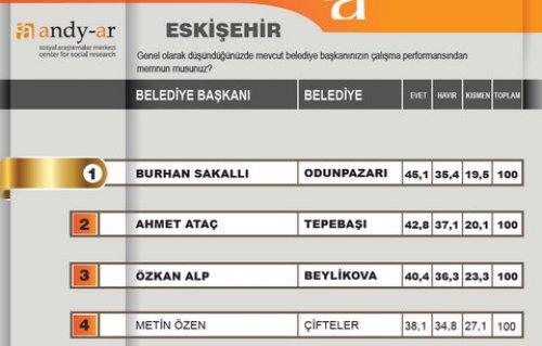 2012 Ocak- Yerel yönetimler araştırması