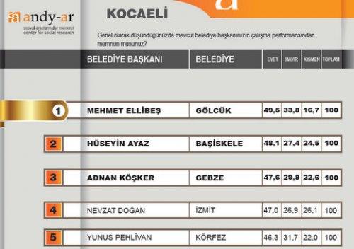 2012 Ocak- Yerel yönetimler araştırması