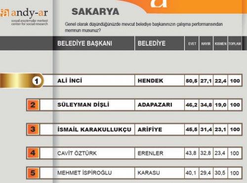 2012 Ocak- Yerel yönetimler araştırması