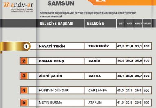 2012 Ocak- Yerel yönetimler araştırması
