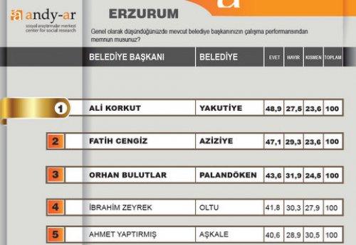 2012 Ocak- Yerel yönetimler araştırması