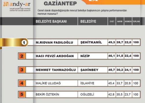 2012 Ocak- Yerel yönetimler araştırması