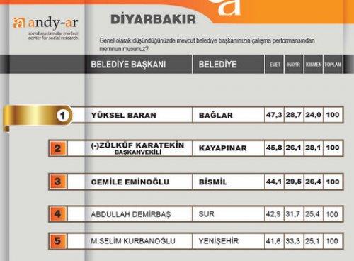 2012 Ocak- Yerel yönetimler araştırması