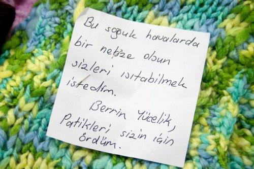 Van'a kardeşlik köprüsü örüldü - Resim 17
