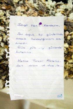 Van'a kardeşlik köprüsü örüldü - Resim 9