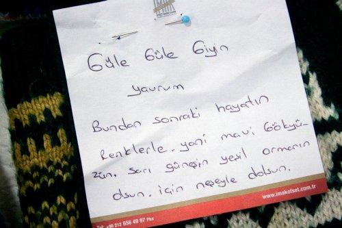 Van'a kardeşlik köprüsü örüldü - Resim 18