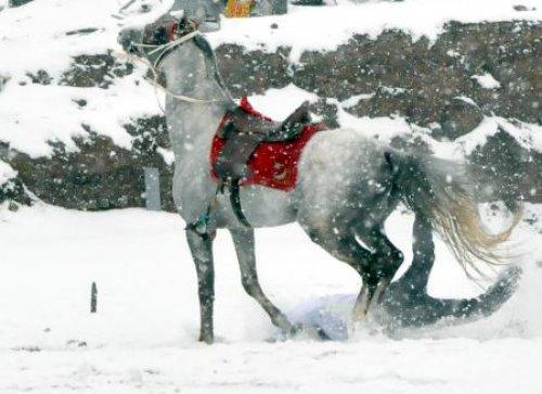Ciritçi işadamı ölümden döndü  - Resim 6