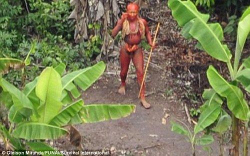 Yerli kabile ilk kez bu kadar yakında görüntülendi