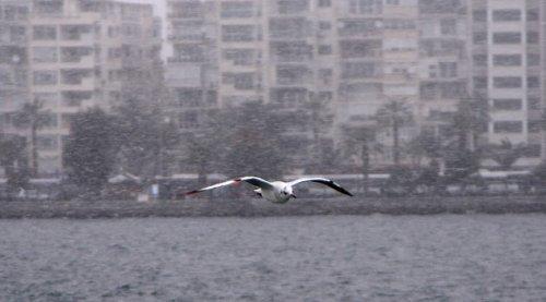 İzmir'de yıllar sonra kar sevinci - Resim 28