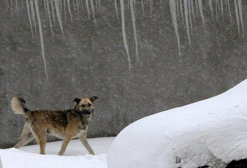 Fotoğraflarla: Avrupa kar altında - Resim 22