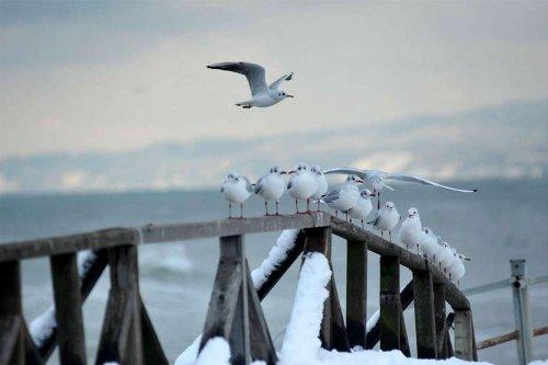 Ocak ayı böyle geçti - Resim 1