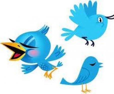 Twitter'da takipçi sayınızı arttırmak için - Resim 8