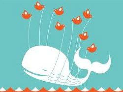 Twitter'da takipçi sayınızı arttırmak için - Resim 10