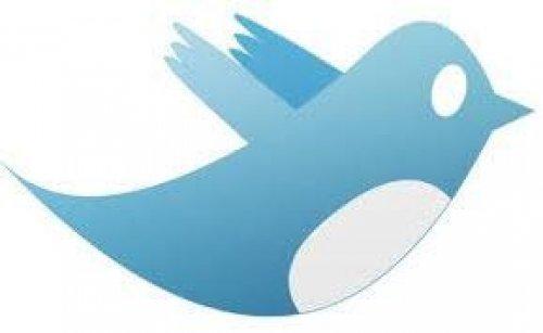 Twitter'da takipçi sayınızı arttırmak için - Resim 5