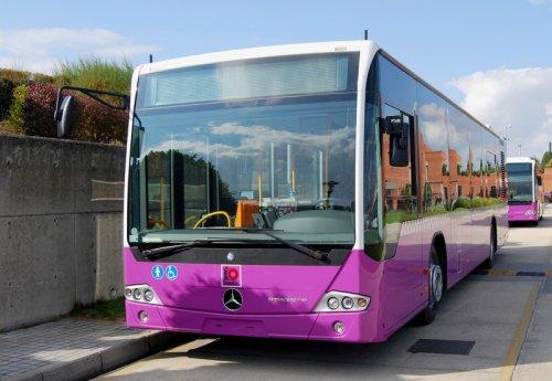 Metrobüs'ten sonra İstanbüs geliyor - Resim 7