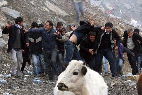 Yılın Basın Fotoğrafları belli oldu - Resim 3