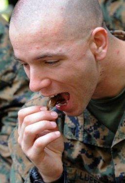 Yok böyle bir tatbikat 