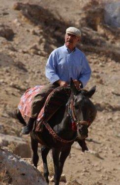 Bilinmeyen yönleriyle Şener Şen