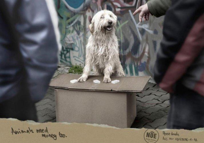 En yaratıcı 60 reklam 