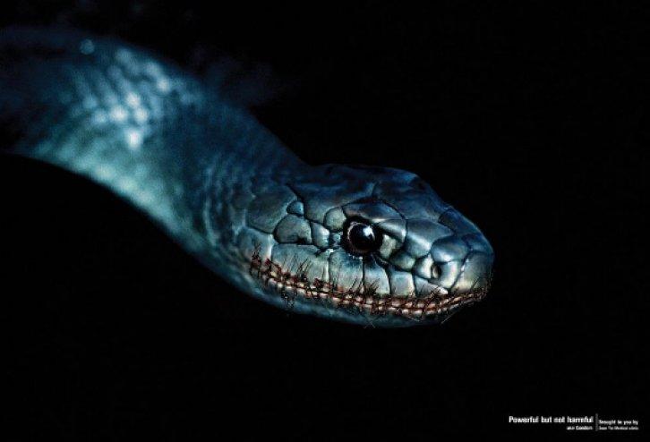 En yaratıcı 60 reklam 