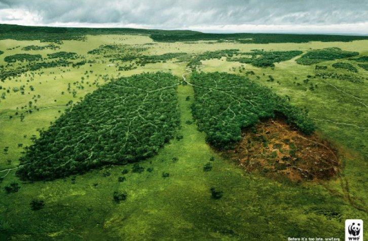 En yaratıcı 60 reklam 