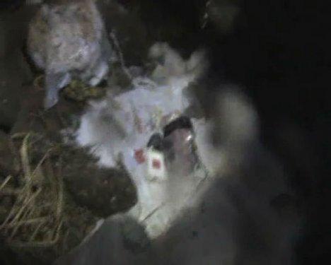 Hakkari'de facia son anda önlendi - Resim 8