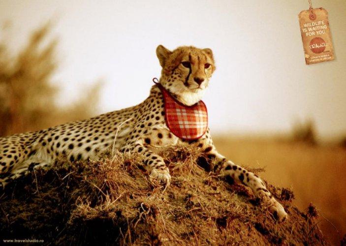 En yaratıcı 60 reklam 