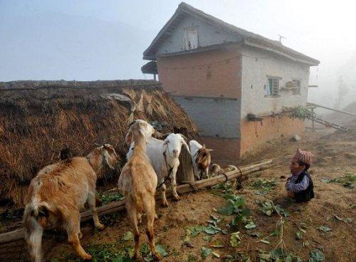 Dünyanın en kısa erkeği Çandra Bahadur Dangi