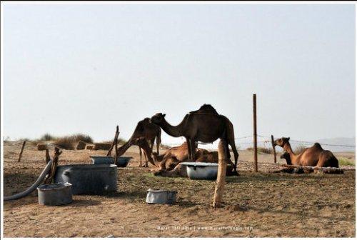 Fotoğraflarla Kutsal Topraklar